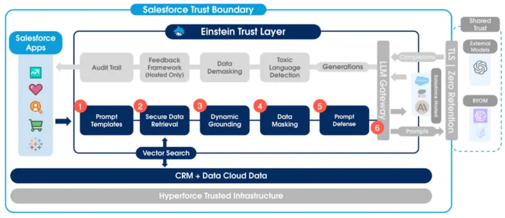 Einstein Trust Layer