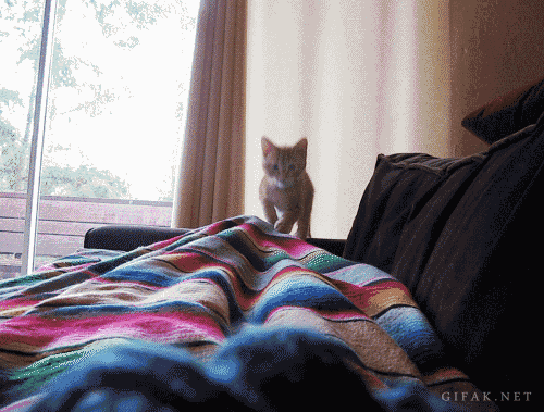 Pulo do Gato para o Einstein Copilot